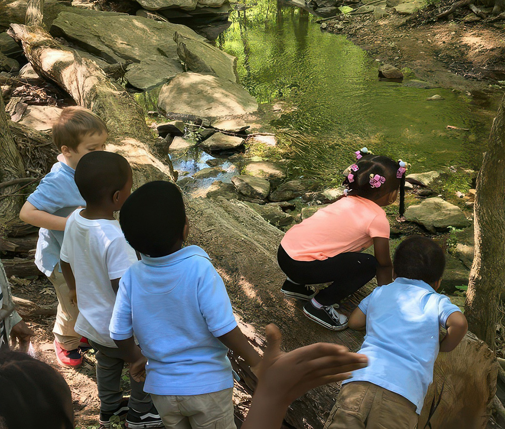 Children explore near a stream, observing nature and playing along the water's edge in a sunny outdoor setting.